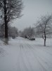 IMG_4731.JPG