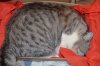 DSC_0197.JPG