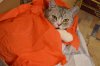 DSC_0211.JPG