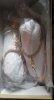 IMG_20180419_135914.