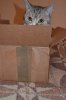 DSC_0022.JPG