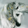 Shy