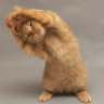 Katro