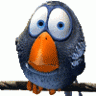 sash_kin