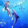 dolphin77
