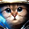 alexi_cat