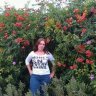 Phylia