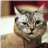 Dmitriy